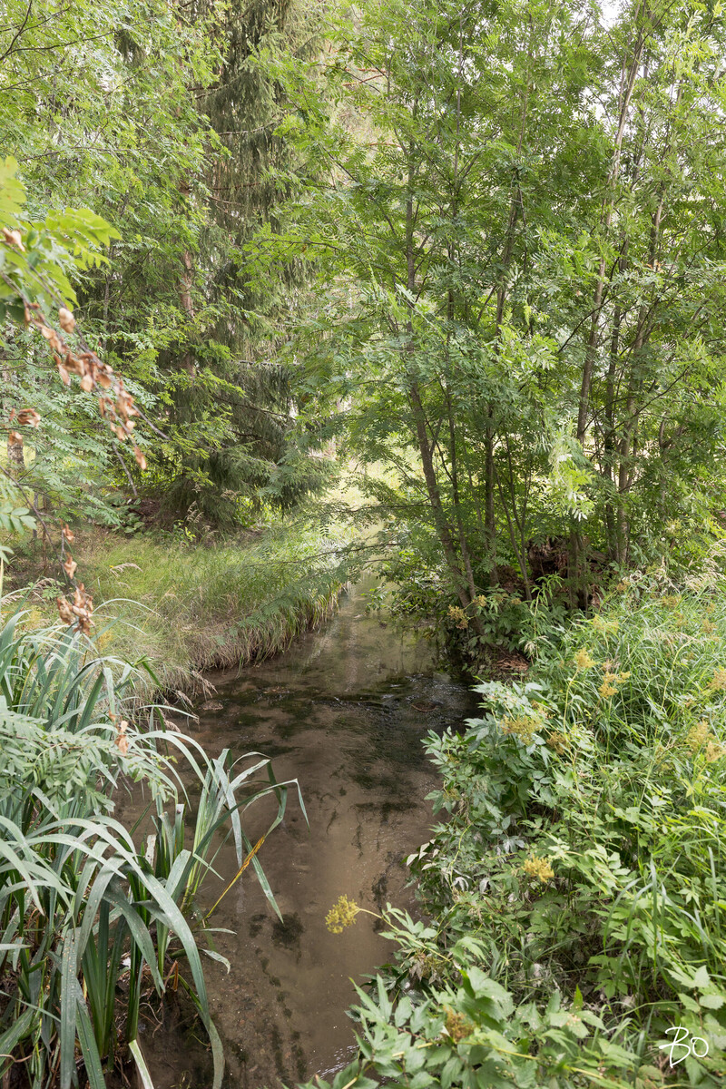 Tuomalantie 19C - kuva 17