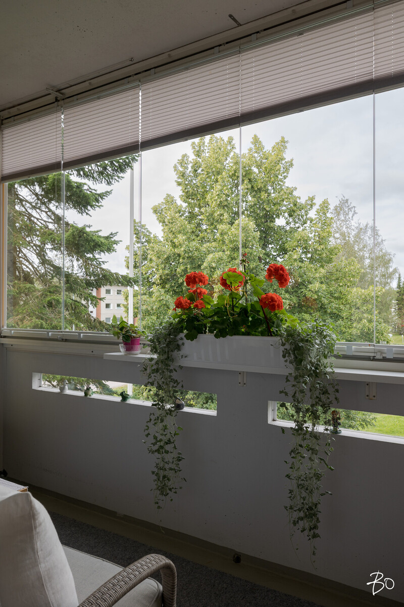 Myllypolku 1 - bild 5