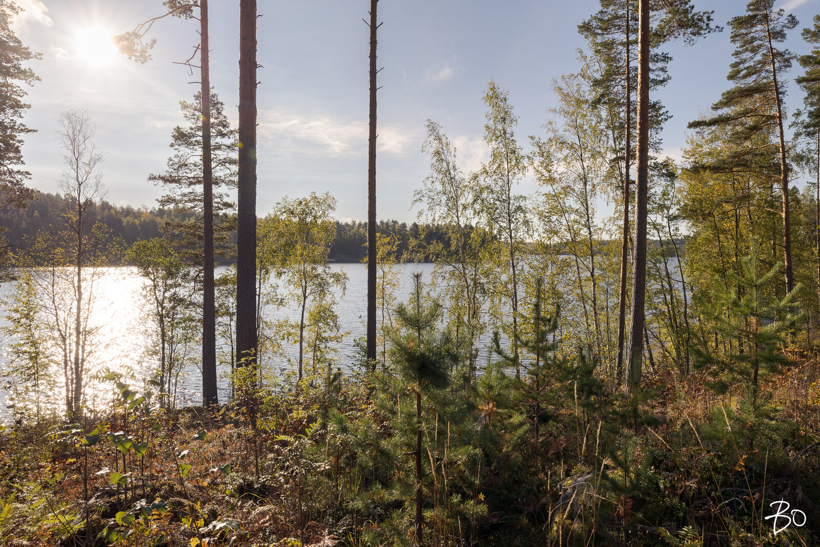 Kirjuantie  - kuva 7