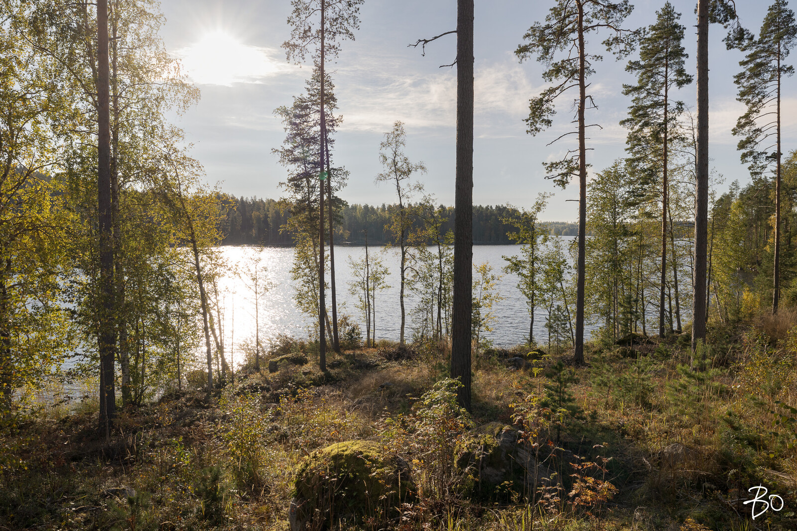 Kirjuantie  - kuva 8