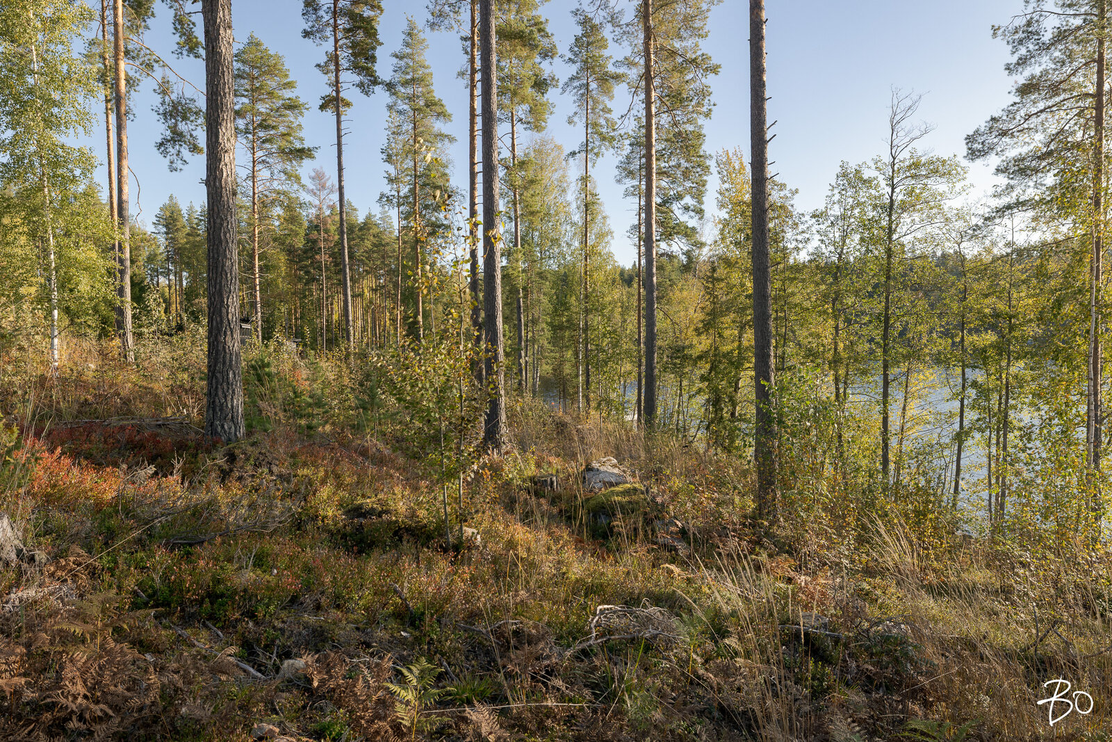 Kirjuantie  - kuva 5