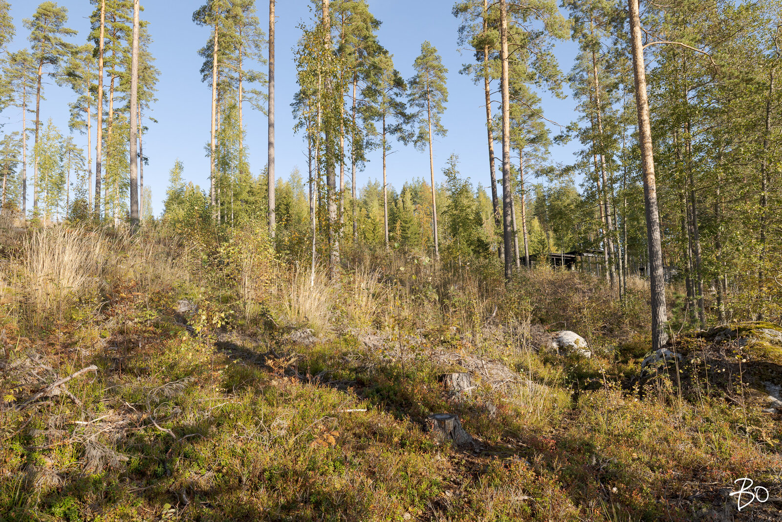 Kirjuantie  - kuva 7