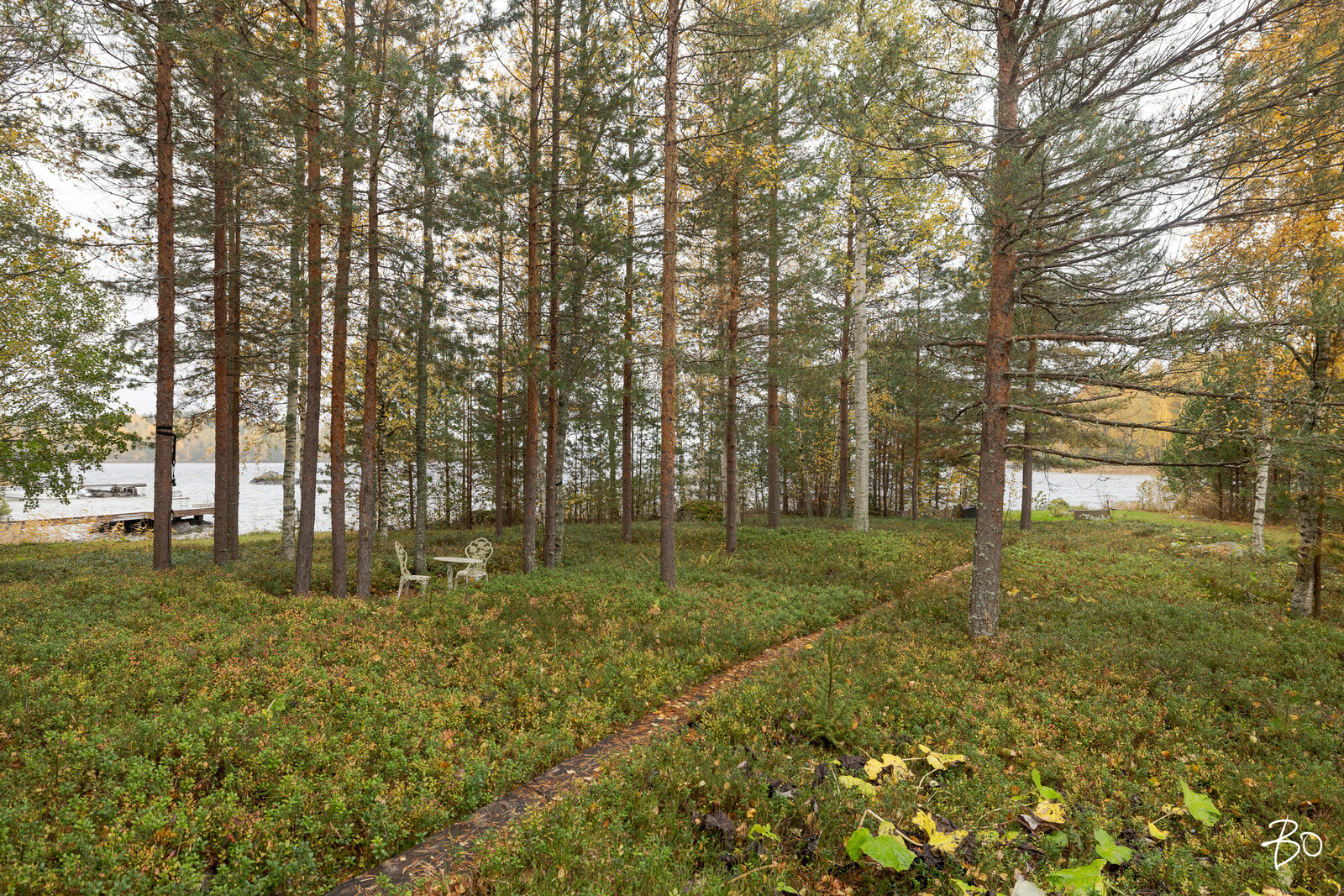 Vintturintie 1960 - kuva 68