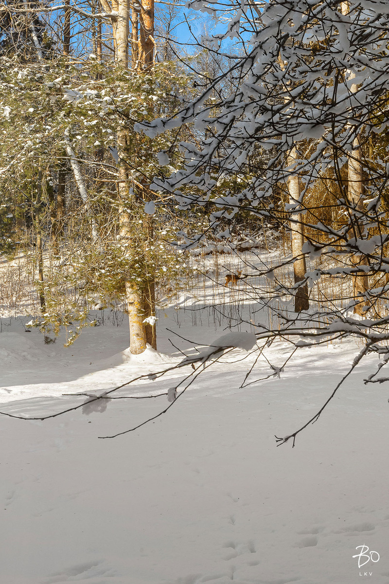 Uotilankatu 27 - kuva 35