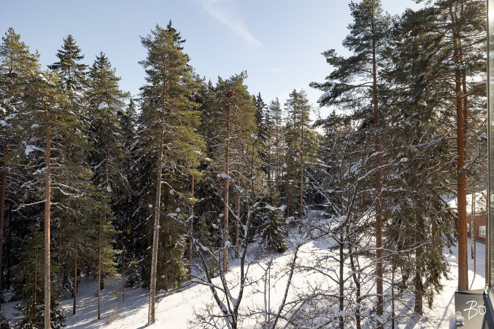 Terveystie 7 - kuva 4