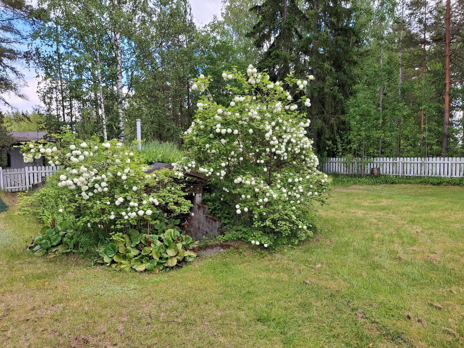 Pyhäntaantie 708 - kuva 21