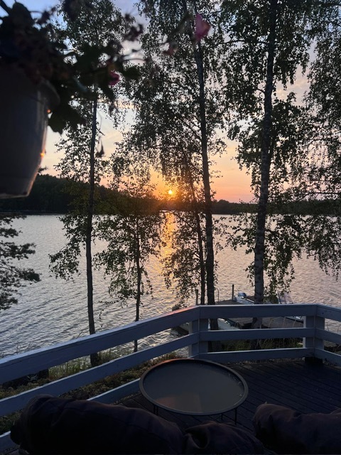 Kajaimensaari 100, Luhangantie 272 - kuva 38