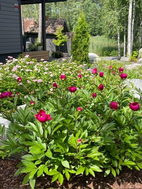 Kelttulantie 42 - bild 44