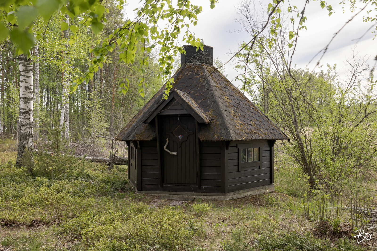 Hirvisaaret Hirvenhäntä - kuva 19