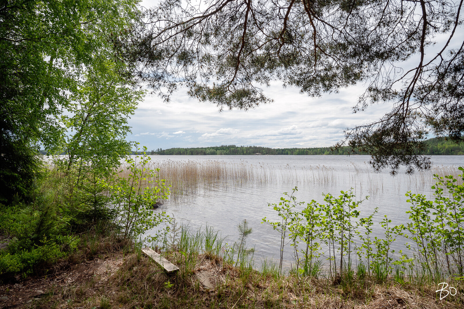 Laanintie 115 - kuva 28