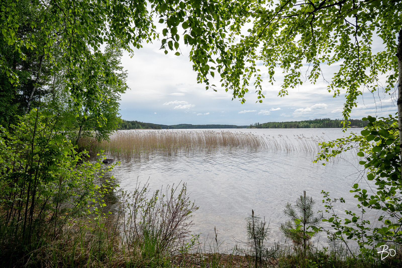 Laanintie 115 - kuva 29