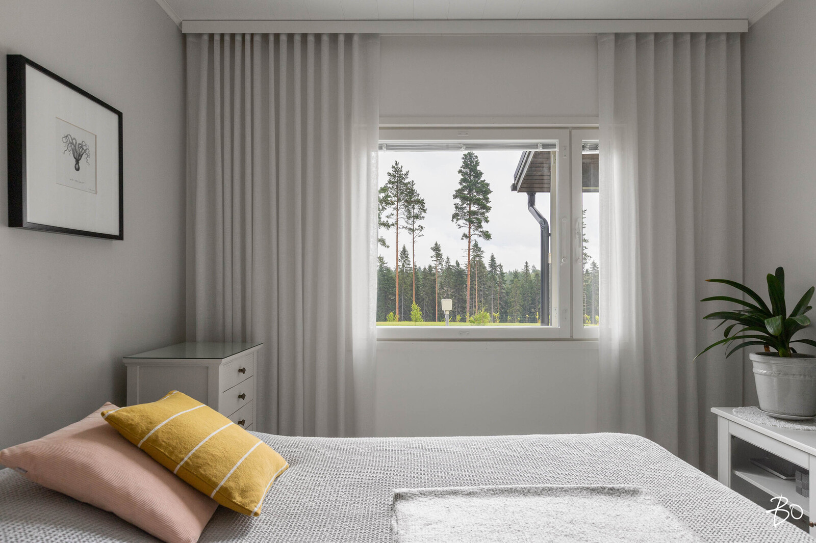 Metsäimarre 2 - bild 13