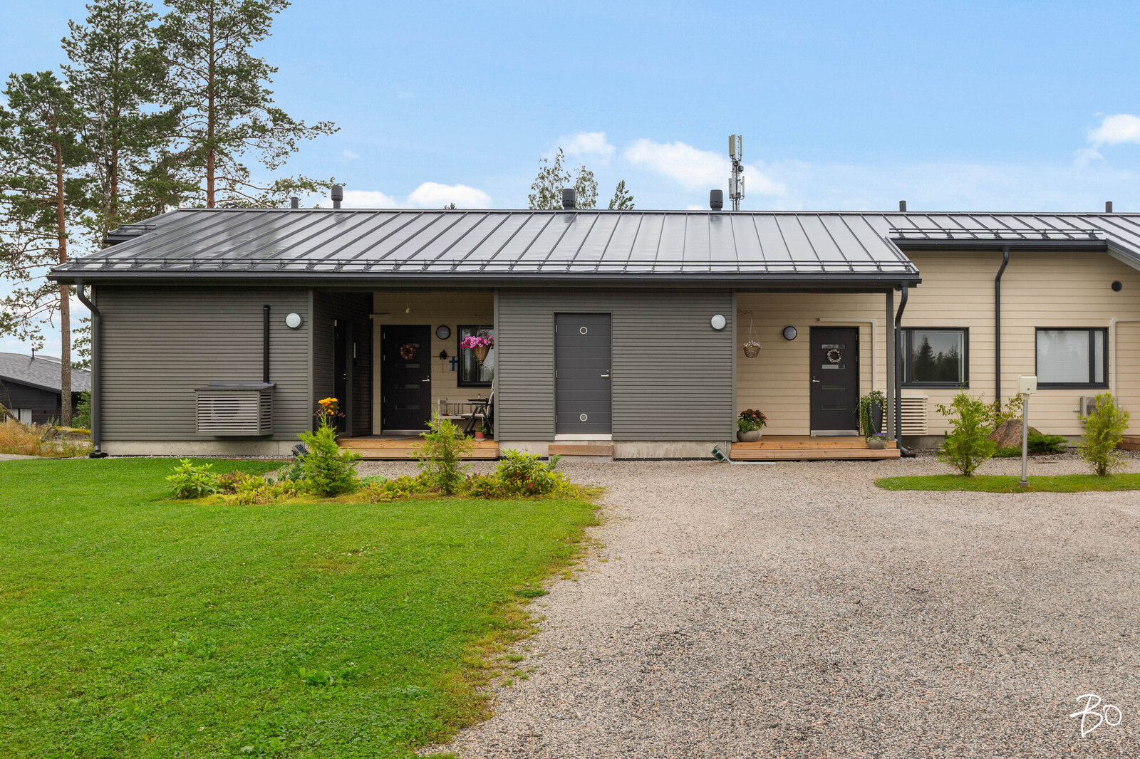 Metsäimarre 2 - bild 31