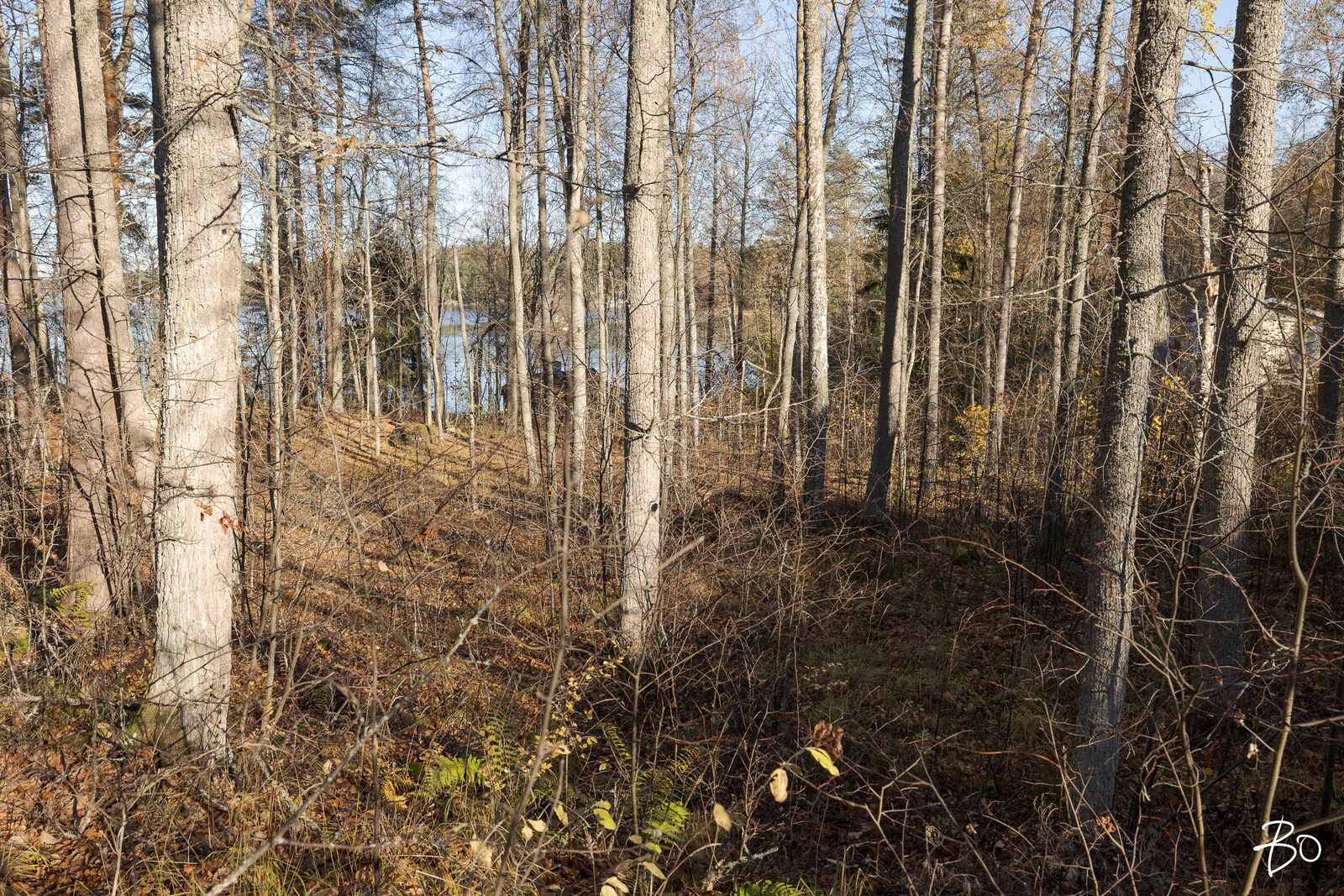 Karjusaarenkatu 77 - kuva 4
