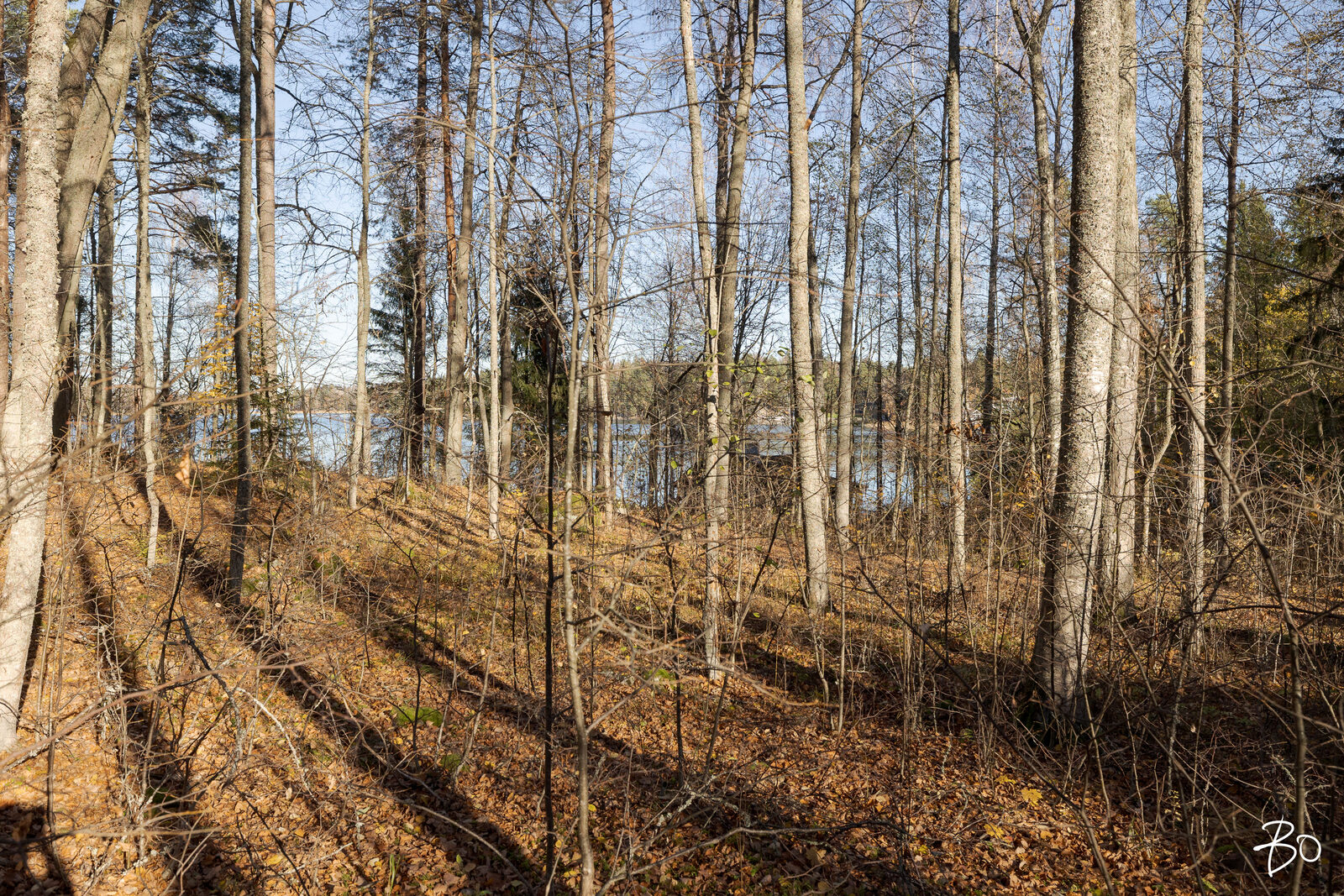 Karjusaarenkatu 77 - kuva 5