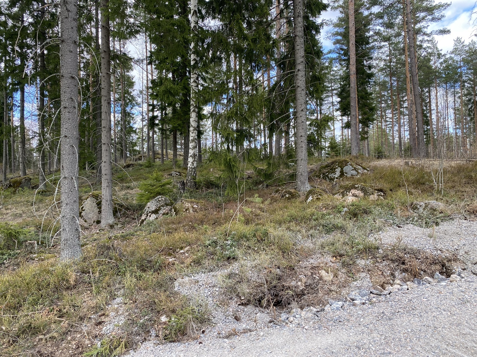 Boxintie 386  - kuva 4