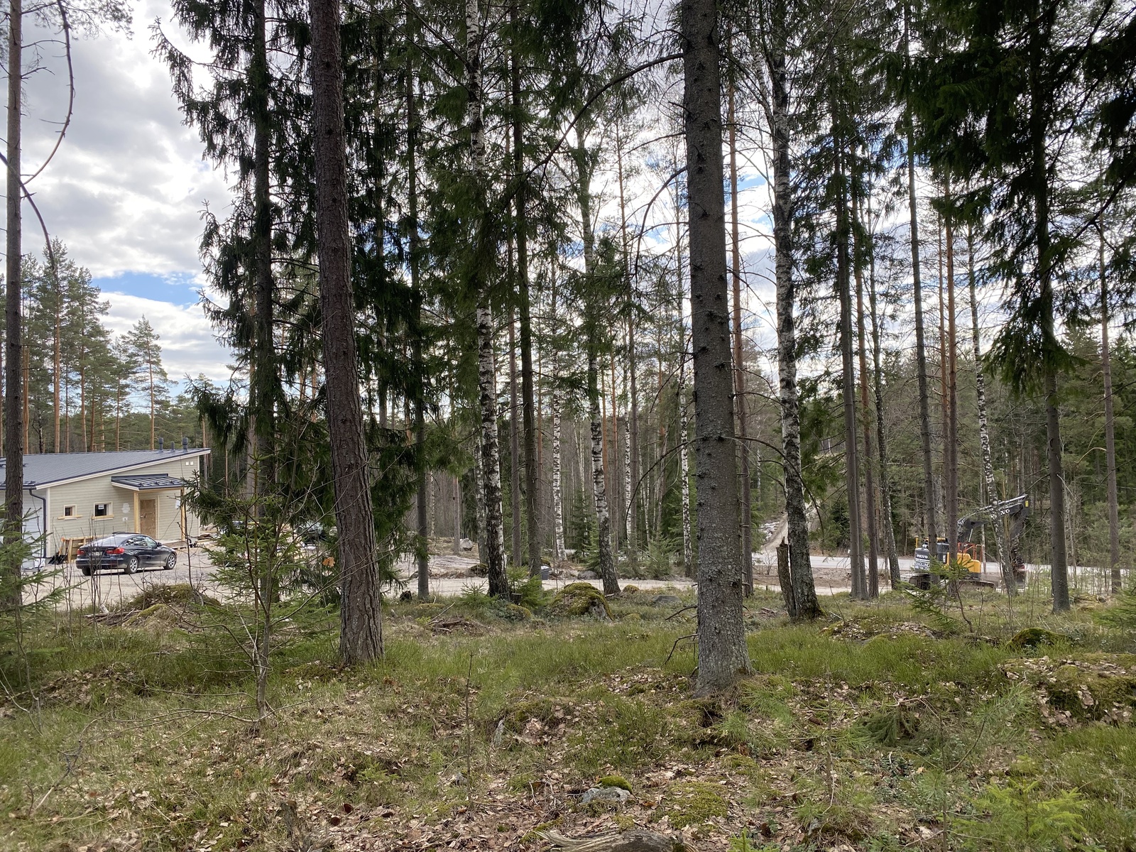 Boxintie 386  - kuva 7