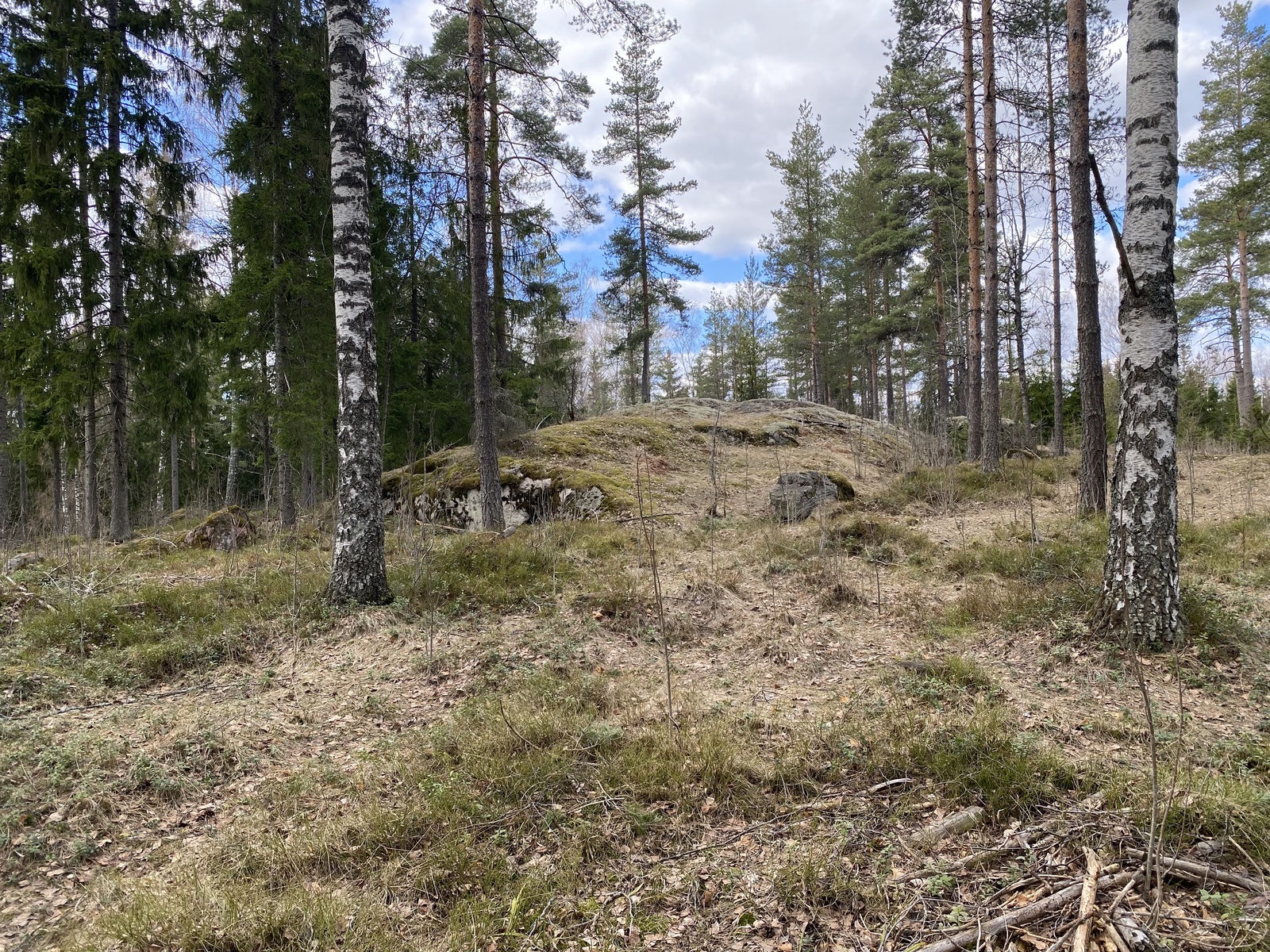 Boxintie 386  - kuva 5