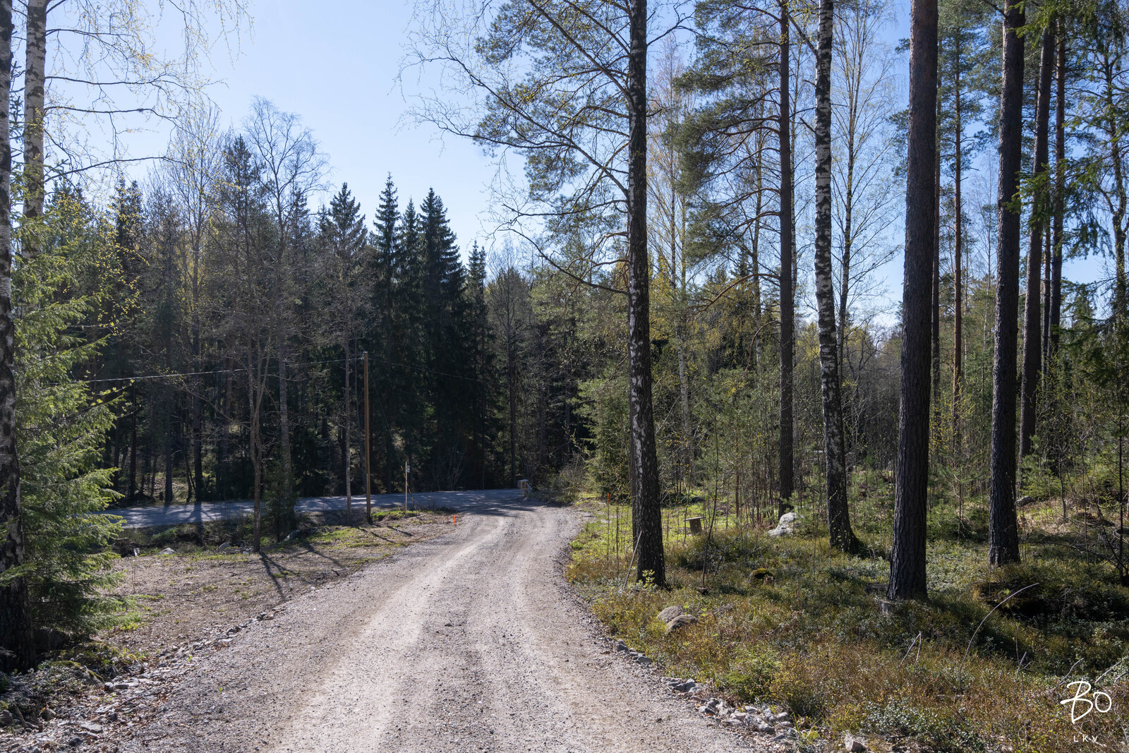 Boxintie 386  - kuva 6