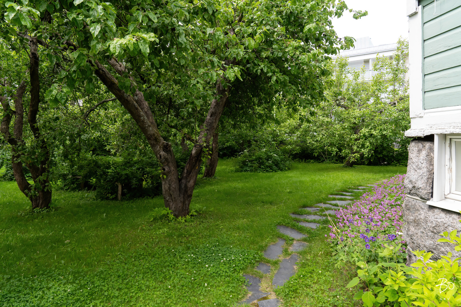 Kaivokatu 18 - image 42