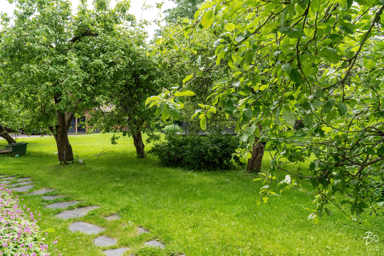 Kaivokatu 18 - image 43