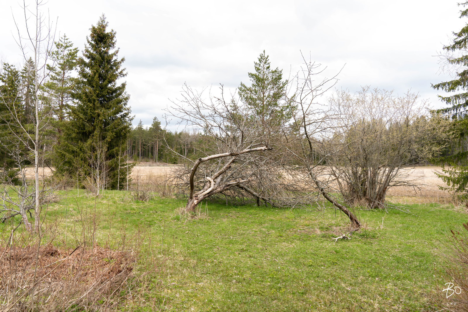 Talvitie 85 - kuva 9