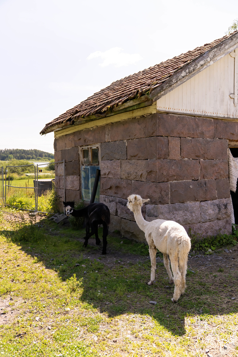 Myrskyläntie 345 - bild 51