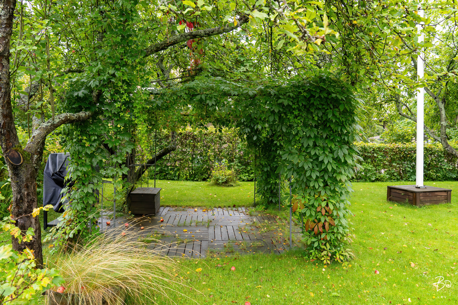 Wittenberginkatu 5 - bild 40