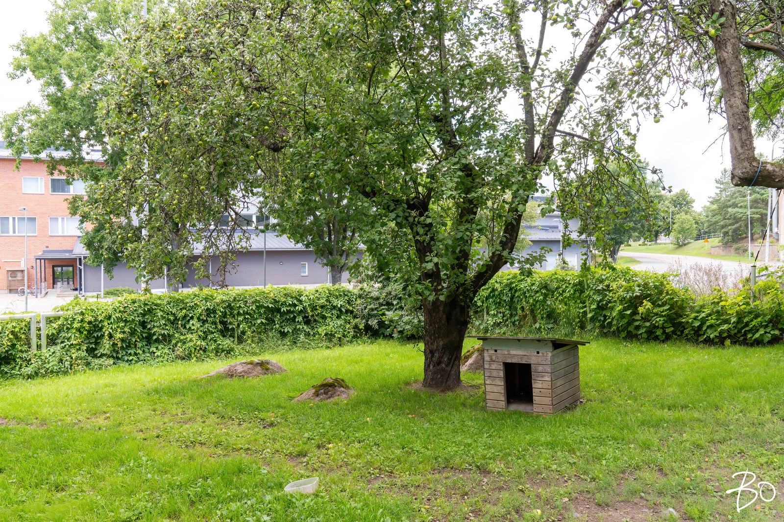 Kissapotinkatu 2 - kuva 24