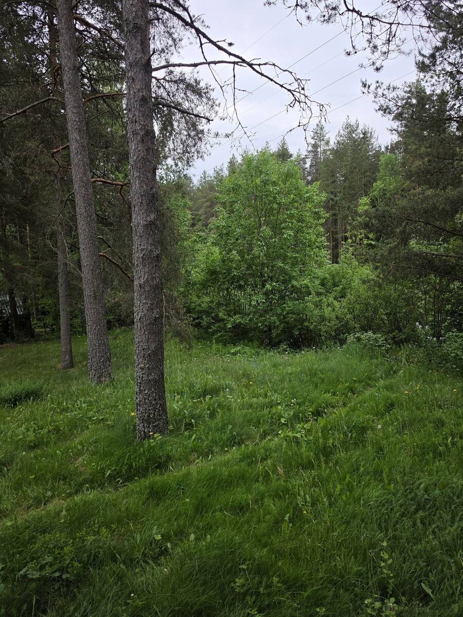 Saunan terassilta näkymä