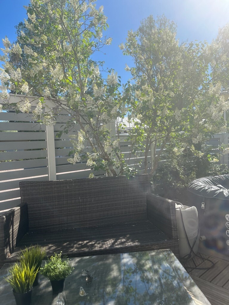 Kesä