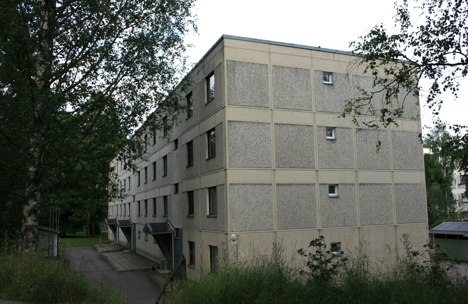 Raput Kärpäsenkadulle
