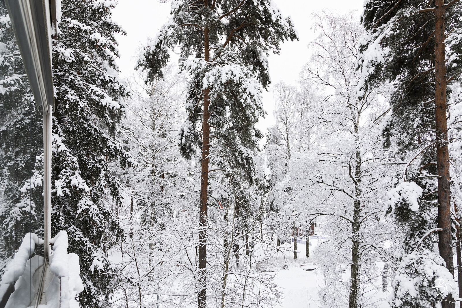 Neulapadontie 7 - kuva 20