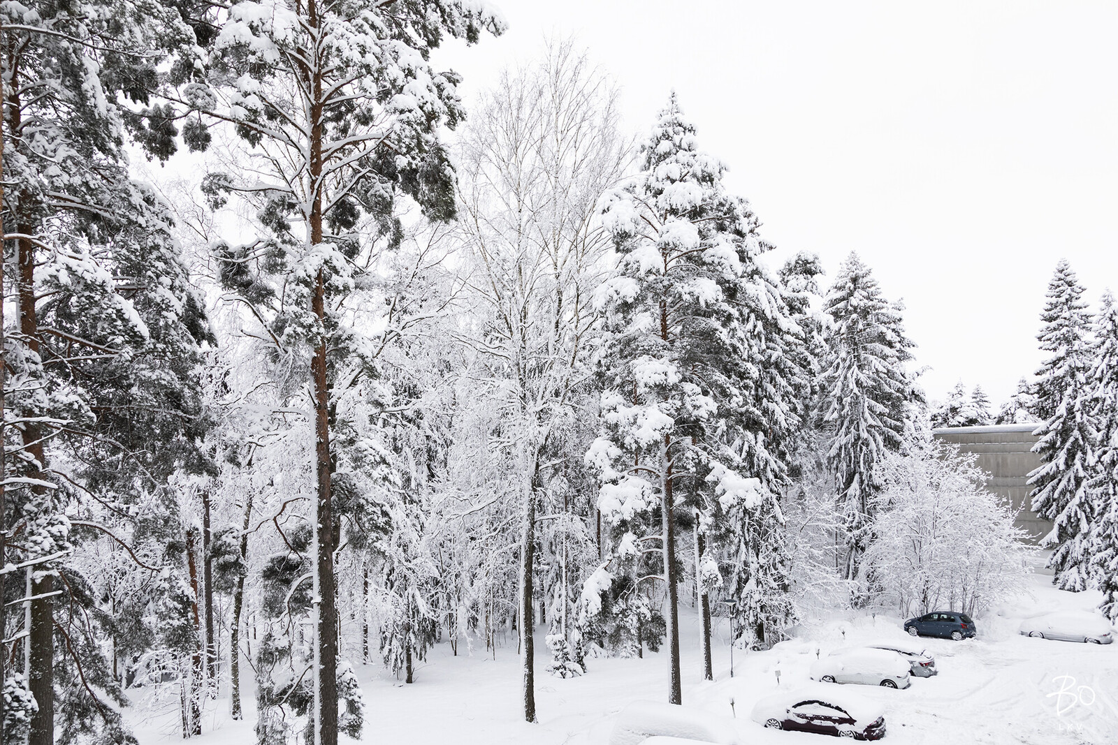 Neulapadontie 7 - kuva 21