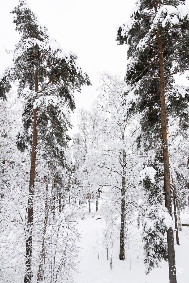 Neulapadontie 7 - kuva 22