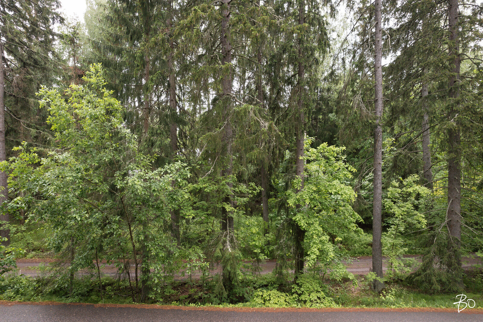 Rantatie 32 A - kuva 11