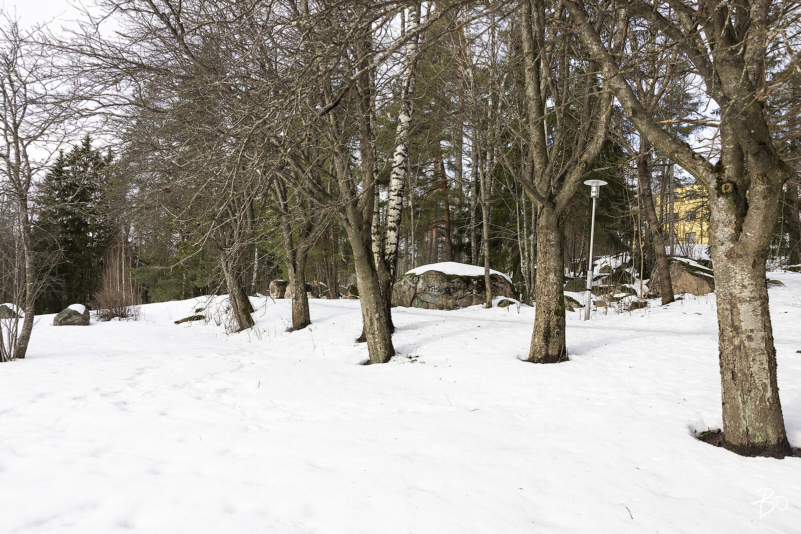 Evästie 10 - image 17