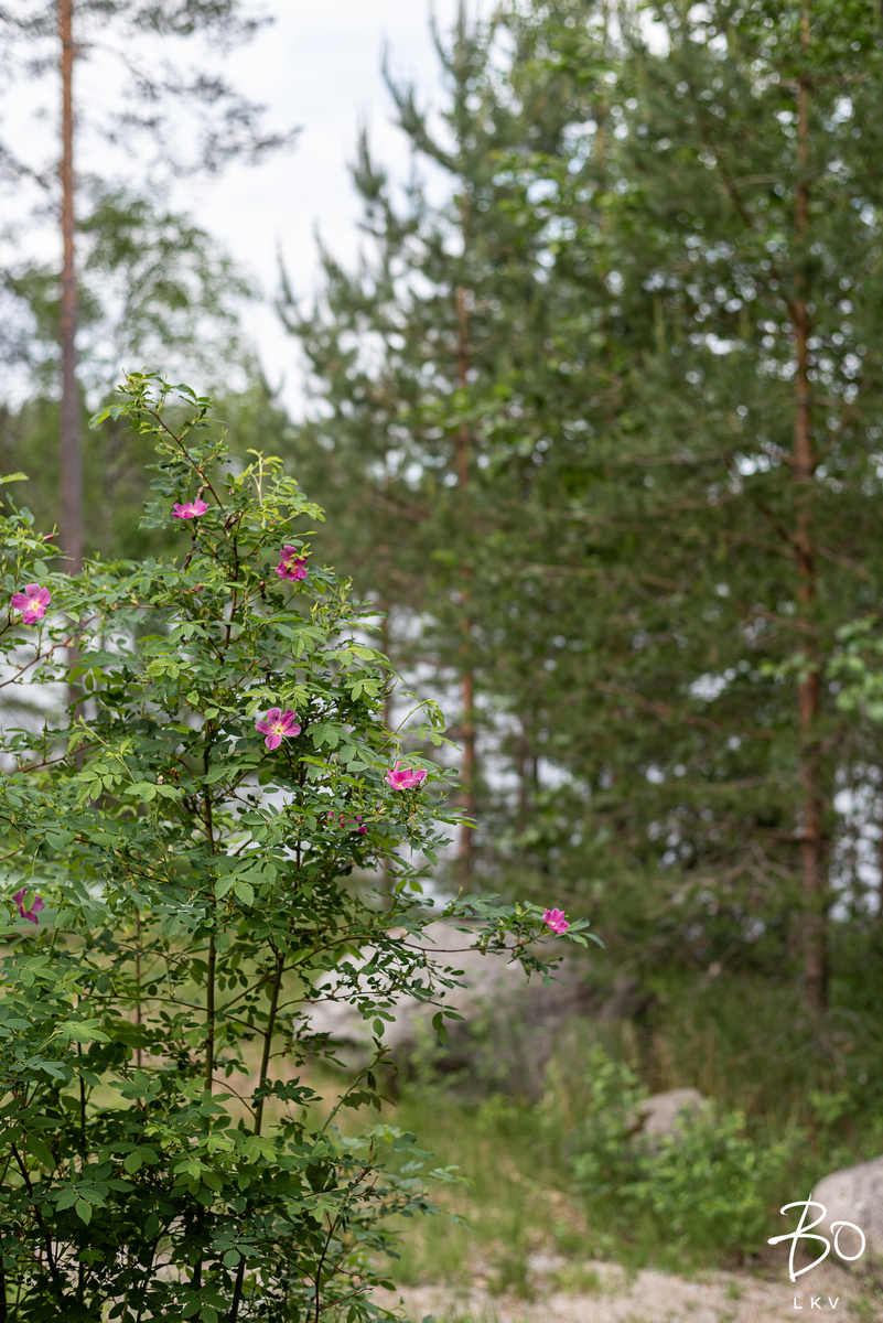 Häppälänrannantie 81 - kuva 23