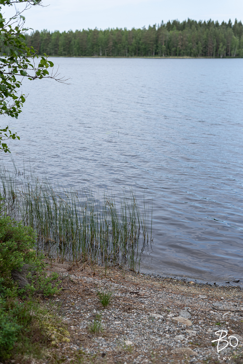 Häppälänrannantie 81 - kuva 31