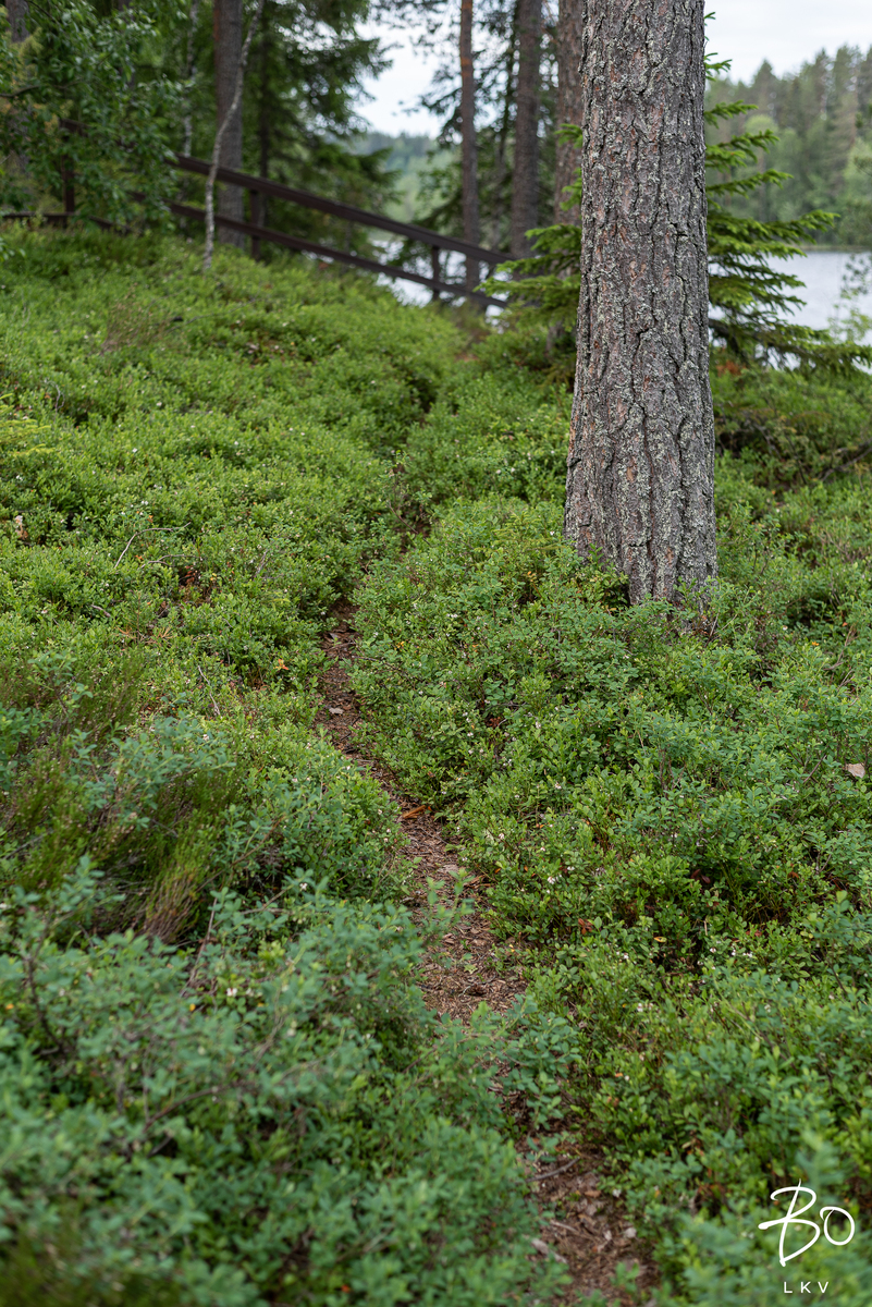 Häppälänrannantie 81 - kuva 40