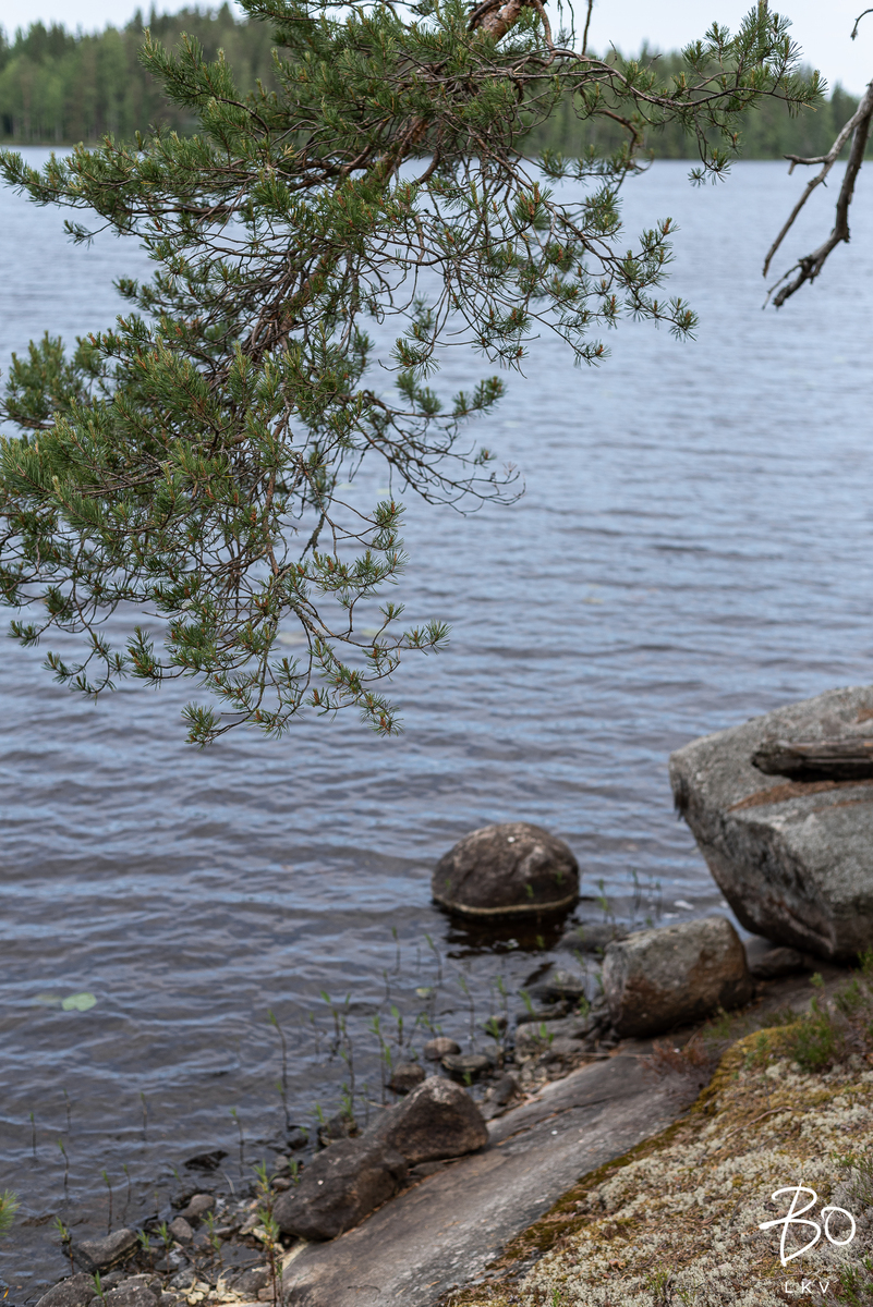 Häppälänrannantie 81 - kuva 38