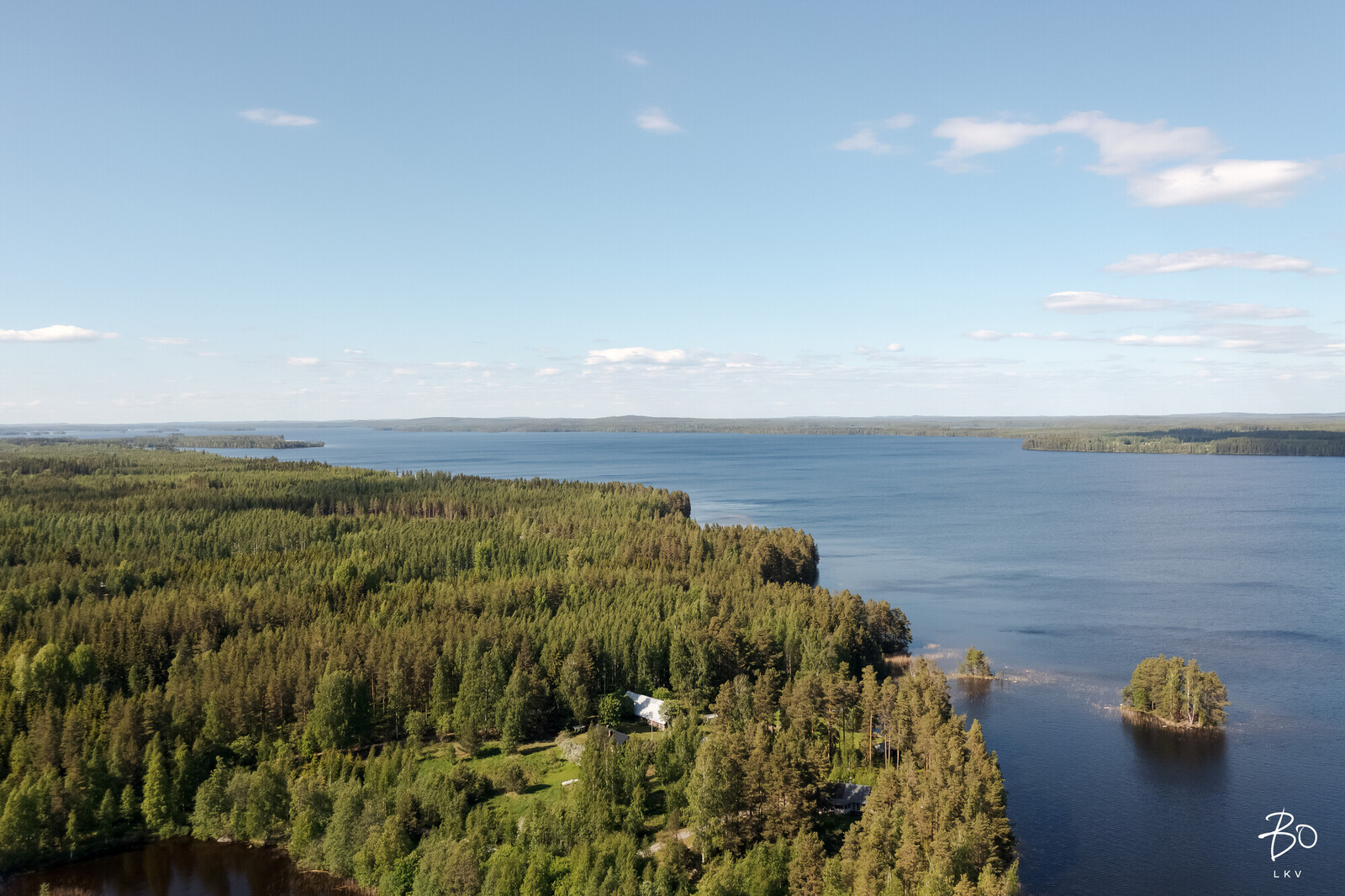 Autioniementie 181 - bild 58