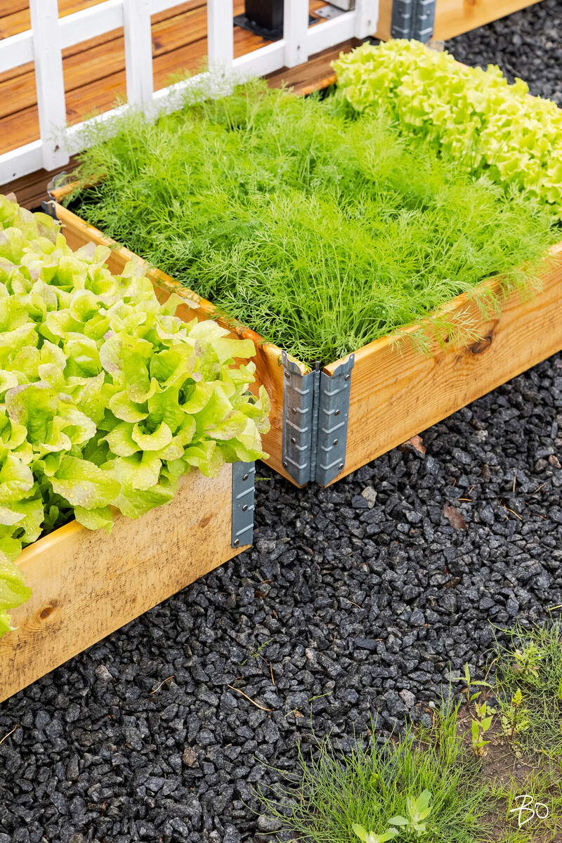 Häntäläntie 3 - bild 30