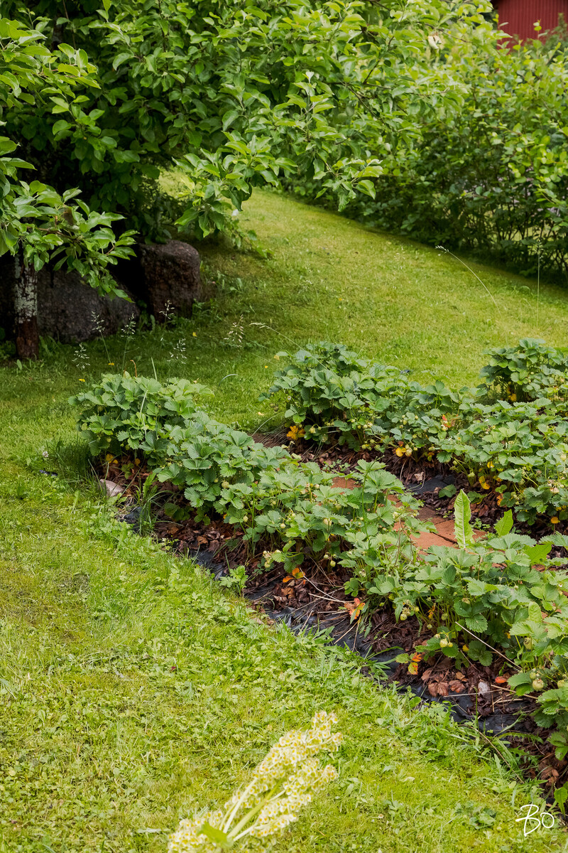 Eetterikuja 1 - kuva 52