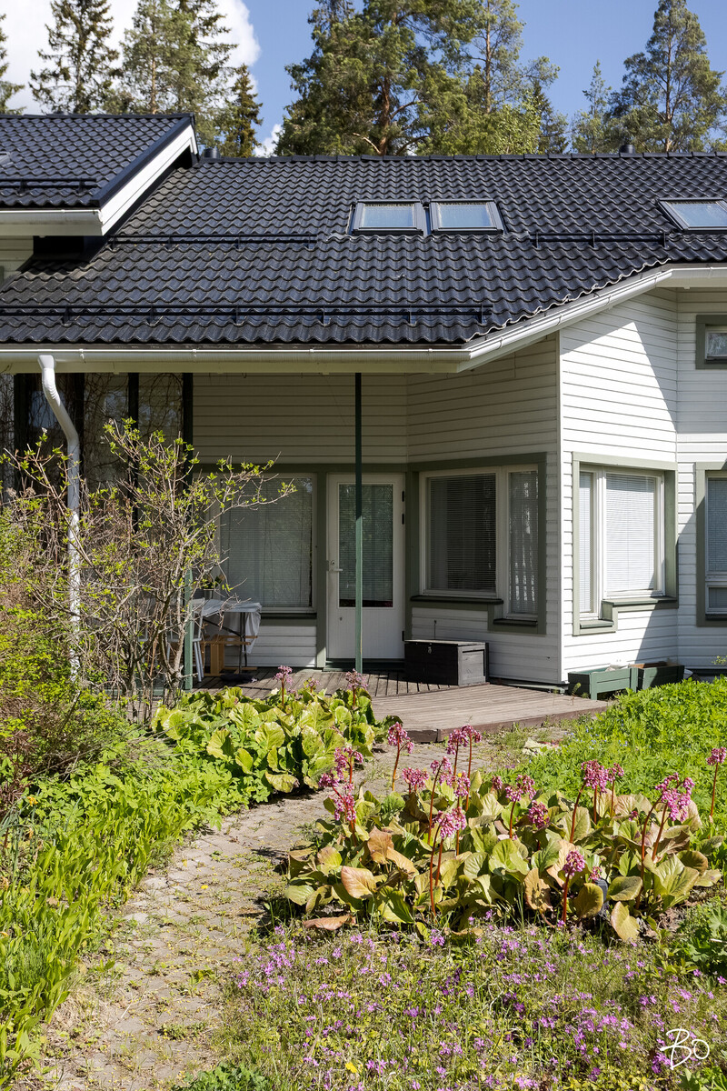 Halisenmutka 4 - kuva 31