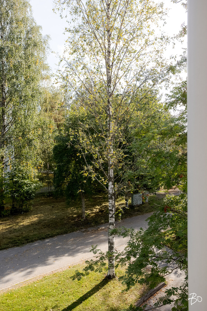 Puolukkakuja 13 - bild 19