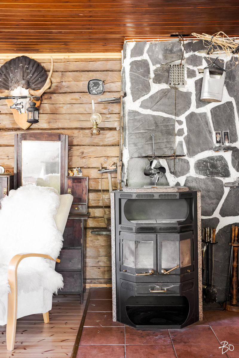 Siikasaari 112 - kuva 6