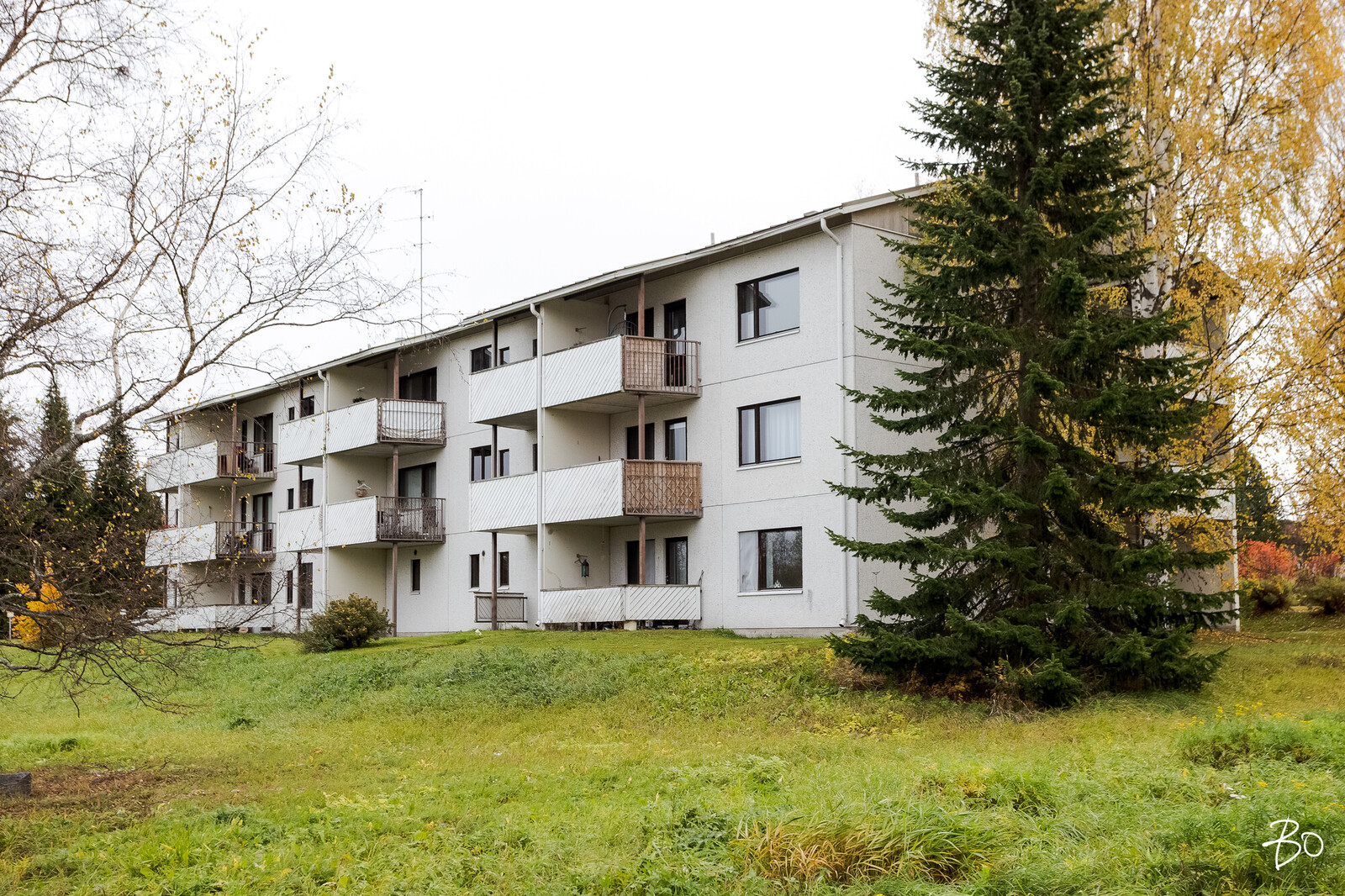 Roomupolku 3 - bild 21