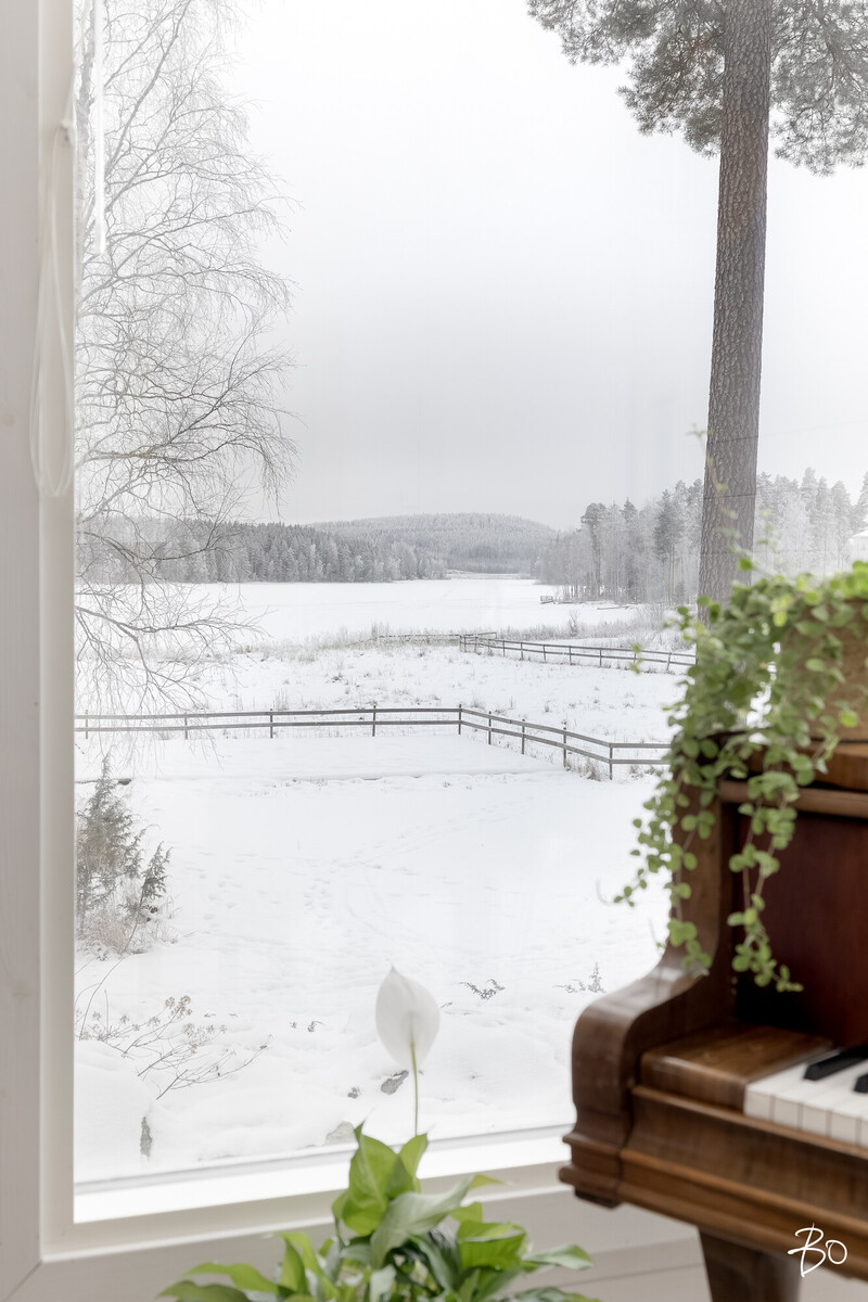 Järvimaisemankuja 6 - kuva 6