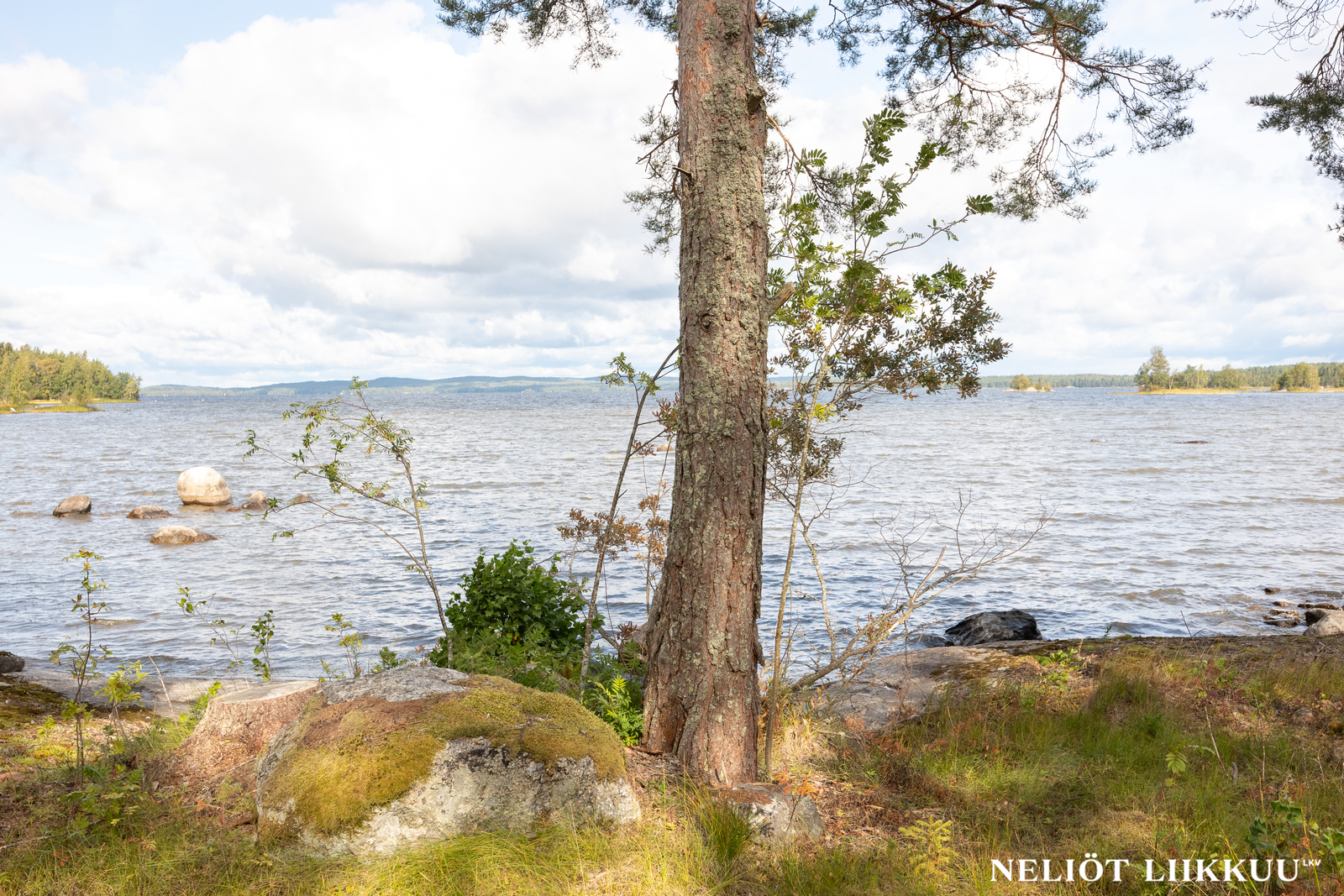 Mäkelä 68, 36420, Kangasala